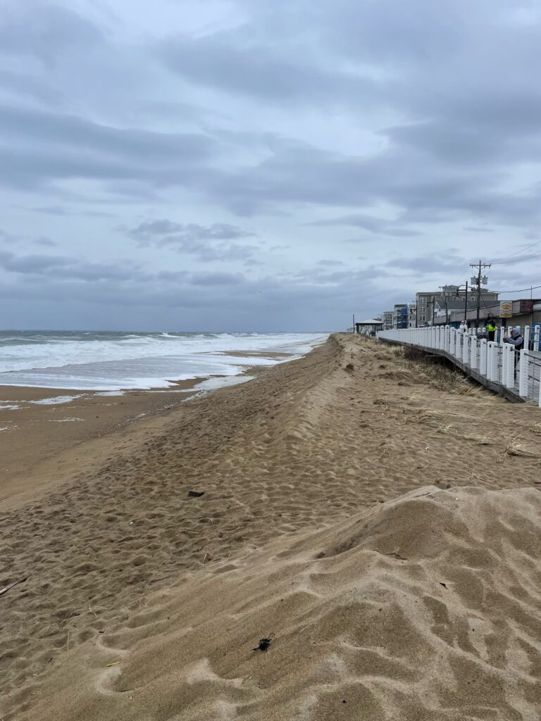 a sandy beach with a white fence (MyCoast AI)