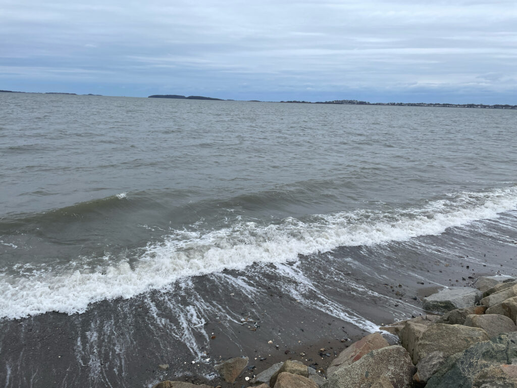 waves crashing on rocks (MyCoast AI)