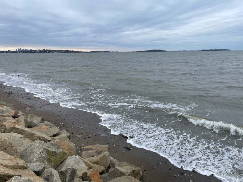 a rocky beach with waves crashing (MyCoast AI)