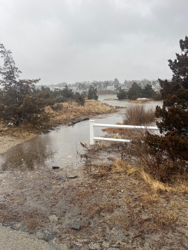 a river with a bridge over it (MyCoast AI)