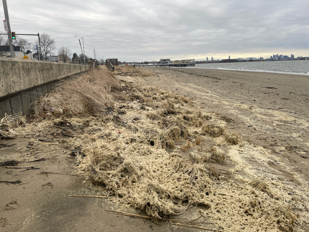 a pile of hay on a beach (MyCoast AI)