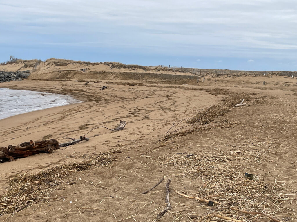 a sandy beach with a body of water in the background (MyCoast AI)