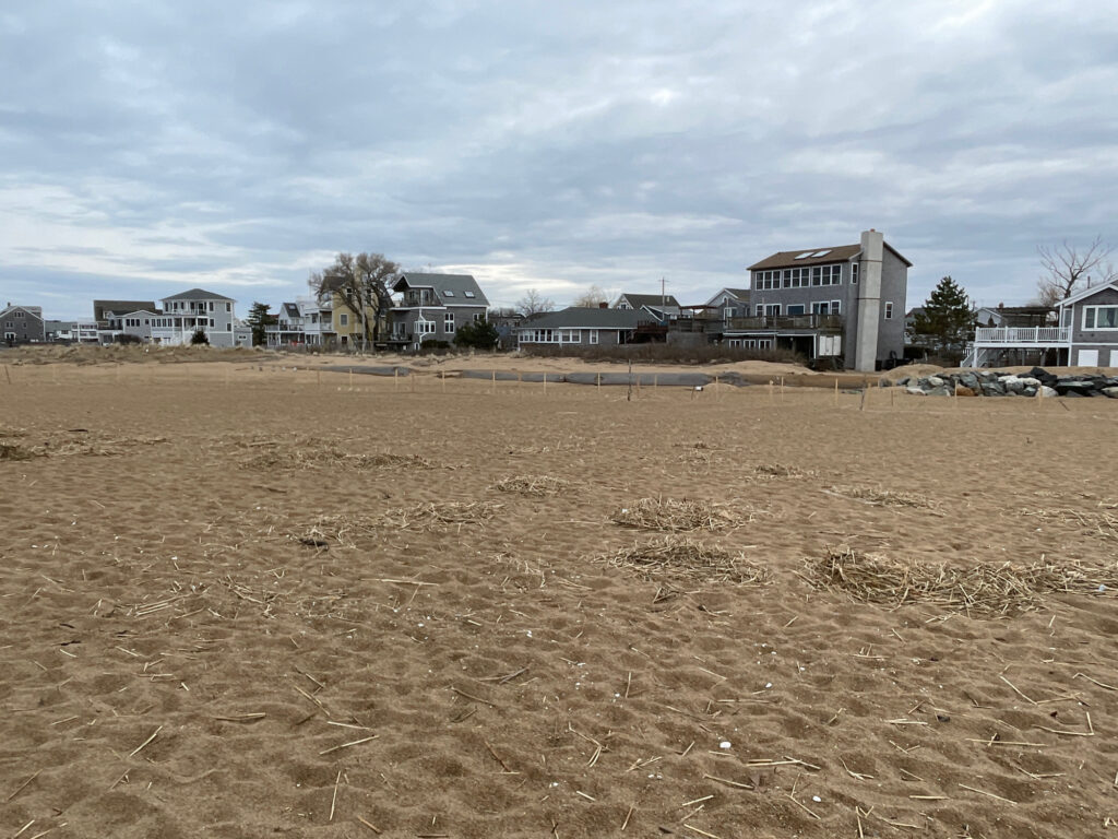 a large field with buildings in the background (MyCoast AI)