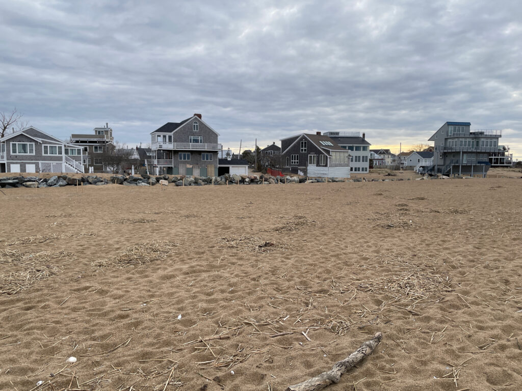 a beach with houses in the background (MyCoast AI)