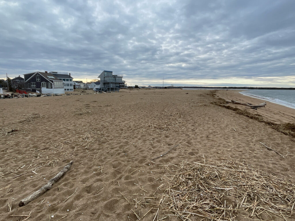 a sandy beach with buildings in the background (MyCoast AI)