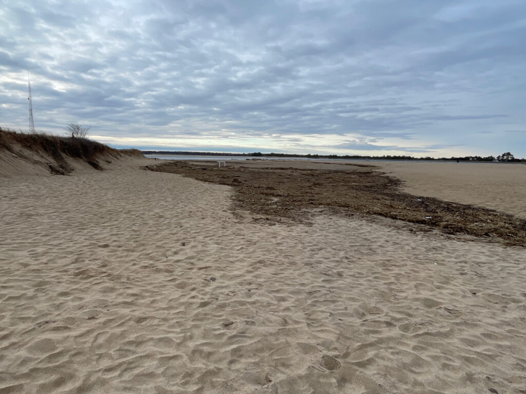 a sandy beach with a few trees (MyCoast AI)