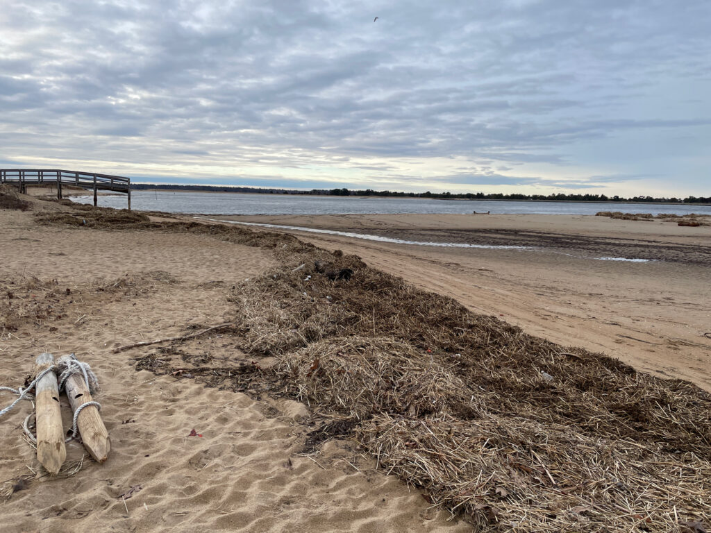 a sandy beach with a pier (MyCoast AI)