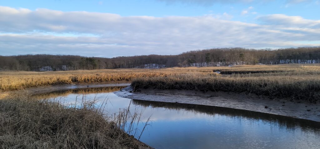a small pond in a field (MyCoast AI)