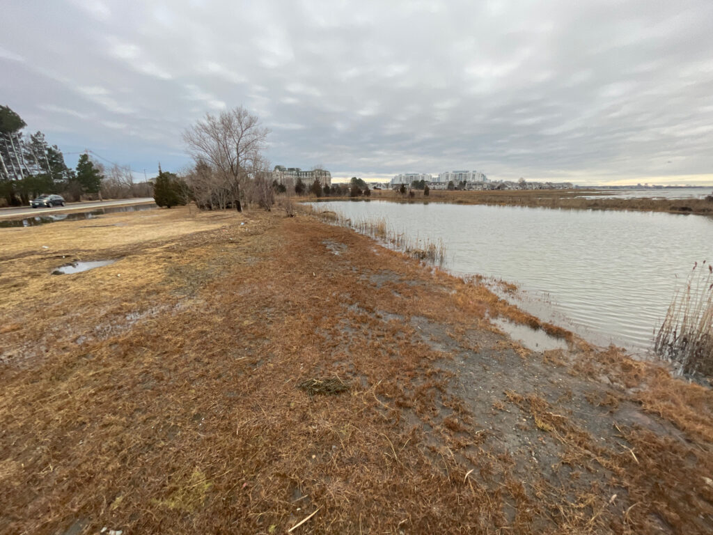 a river with a dirt path and grass and trees on the side (MyCoast AI)