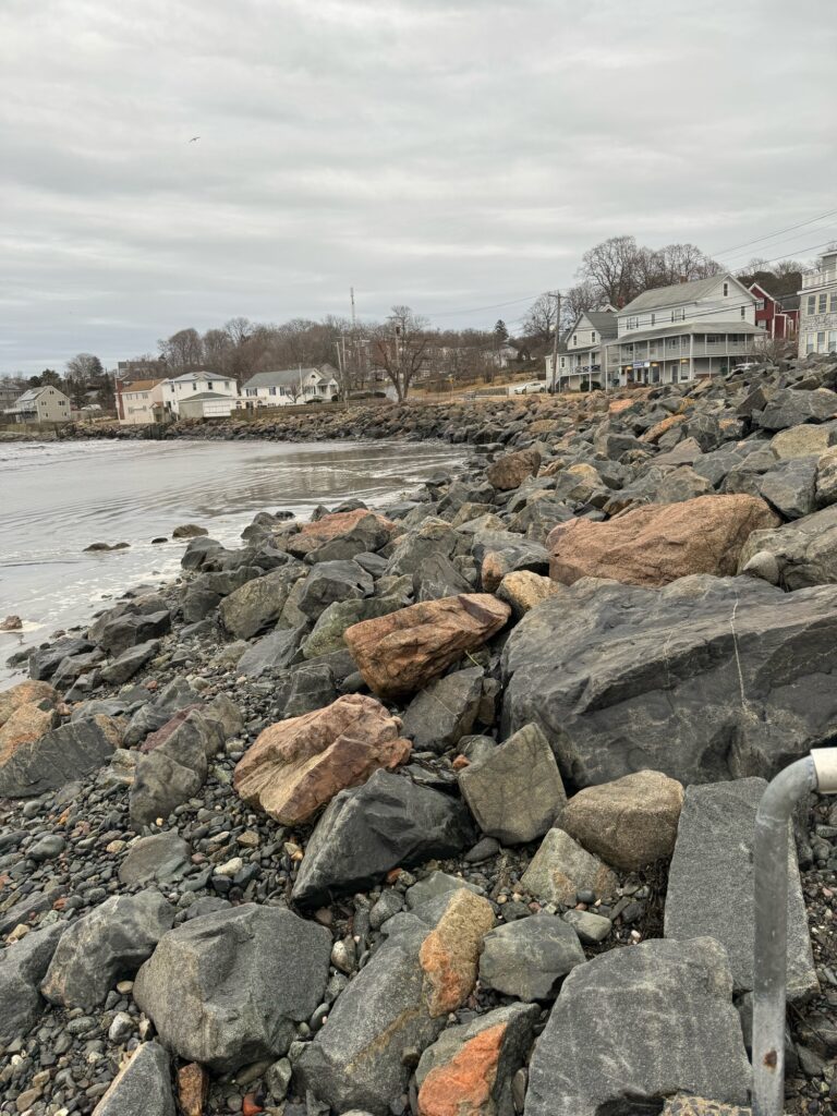 a rocky beach with houses in the background (MyCoast AI)