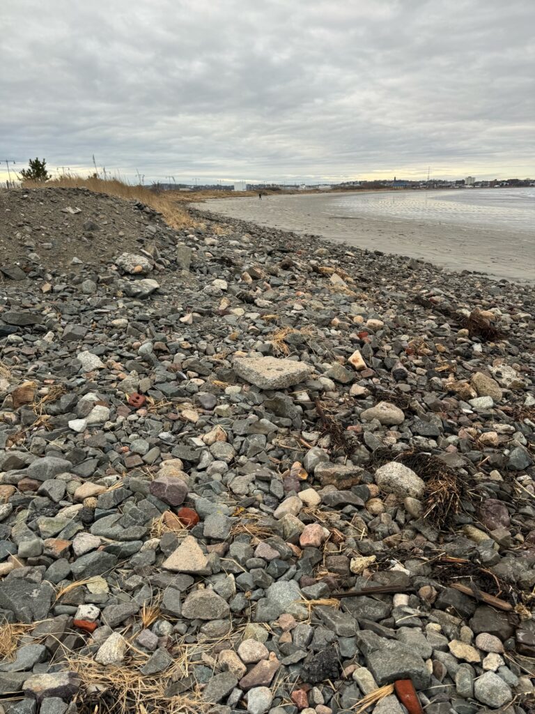 a rocky beach with a body of water in the background (MyCoast AI)