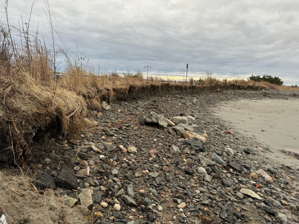 a rocky area with plants and rocks (MyCoast AI)