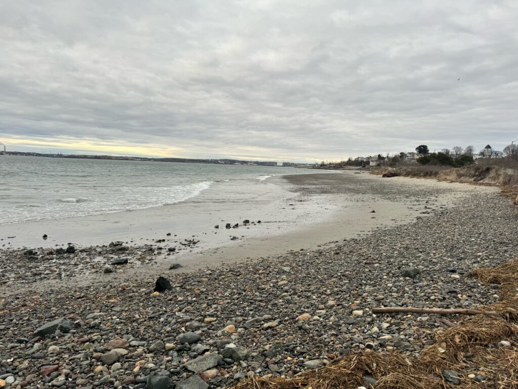 a rocky beach with a body of water in the background (MyCoast AI)