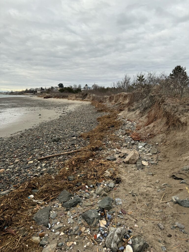 a rocky beach with a body of water and trees in the background (MyCoast AI)