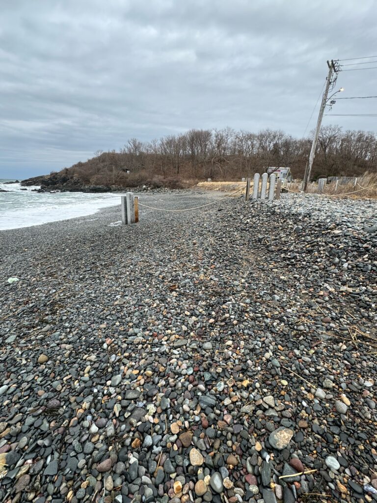 a rocky beach with a body of water and trees in the background (MyCoast AI)