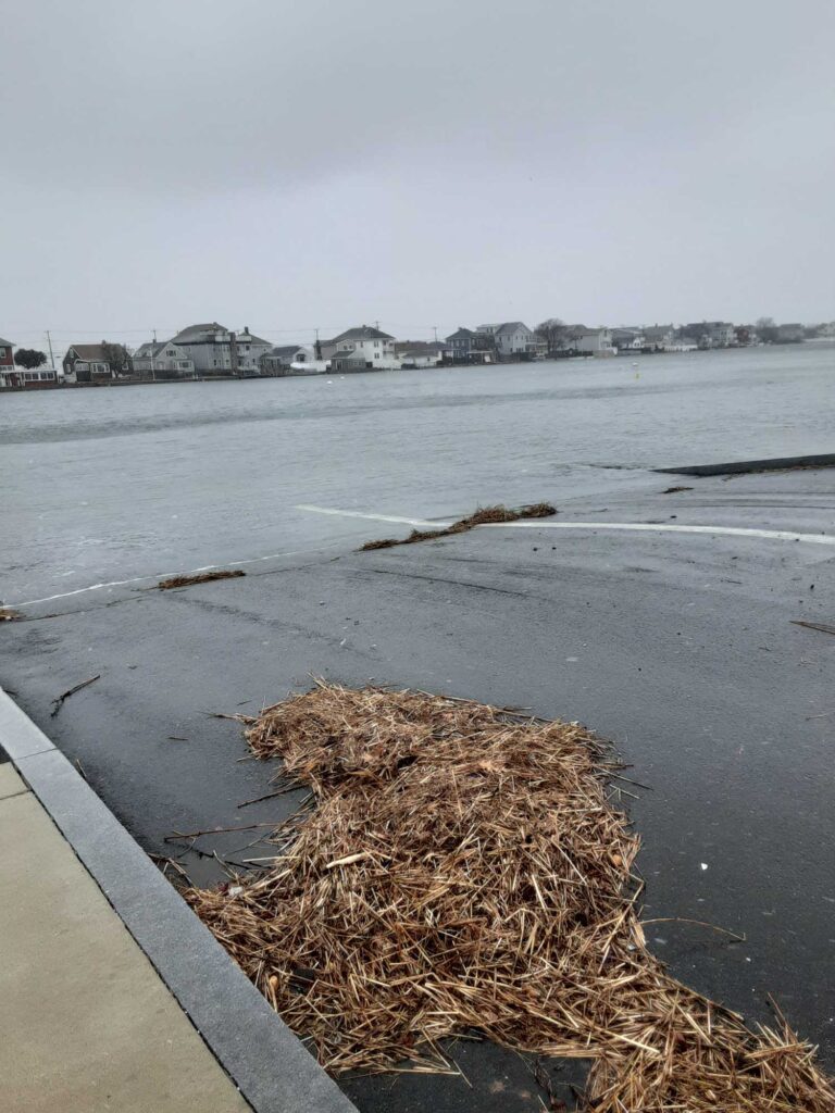 a beach with a body of water and houses in the background (MyCoast AI)