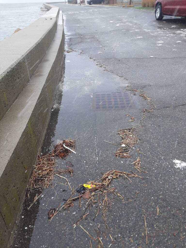 a sidewalk with leaves on it (MyCoast AI)