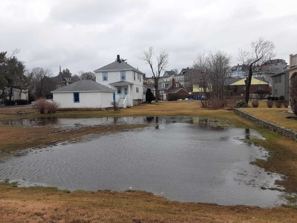 a flooded area with houses and trees (MyCoast AI)