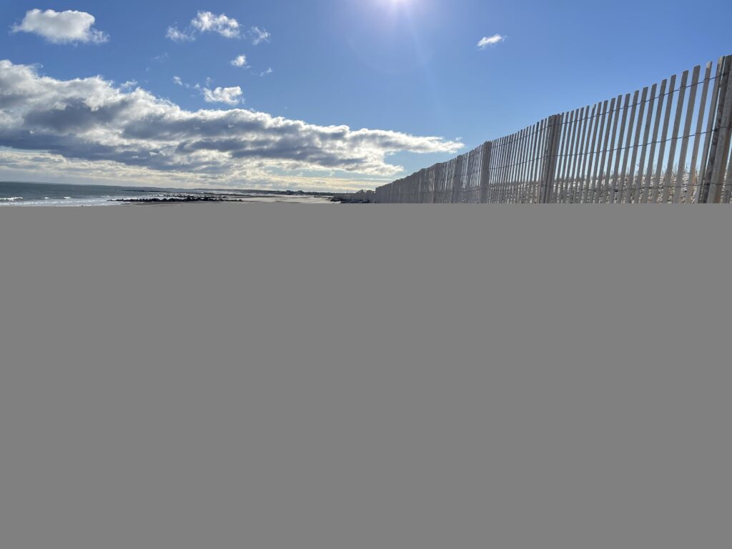 a large body of water (MyCoast AI)