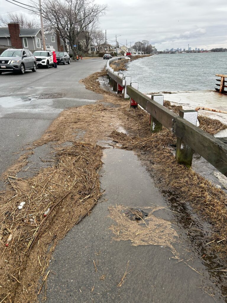 a road with a fence and a body of water (MyCoast AI)