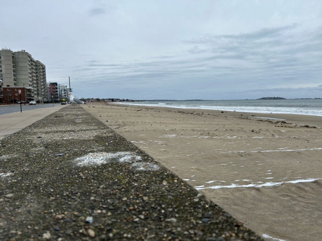 a beach with rocks and water (MyCoast AI)