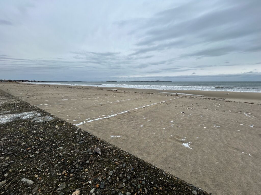 a road on a beach (MyCoast AI)