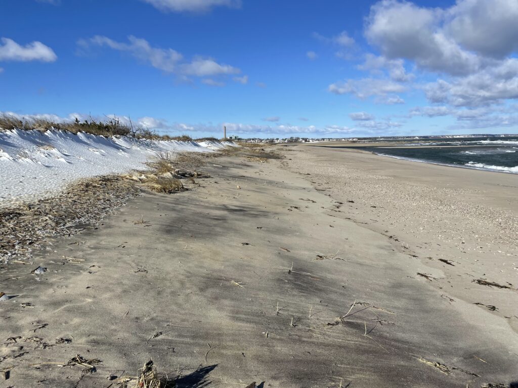 a sandy beach with waves crashing on it (MyCoast AI)