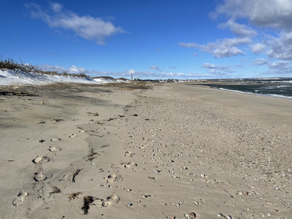 a beach with snow (MyCoast AI)