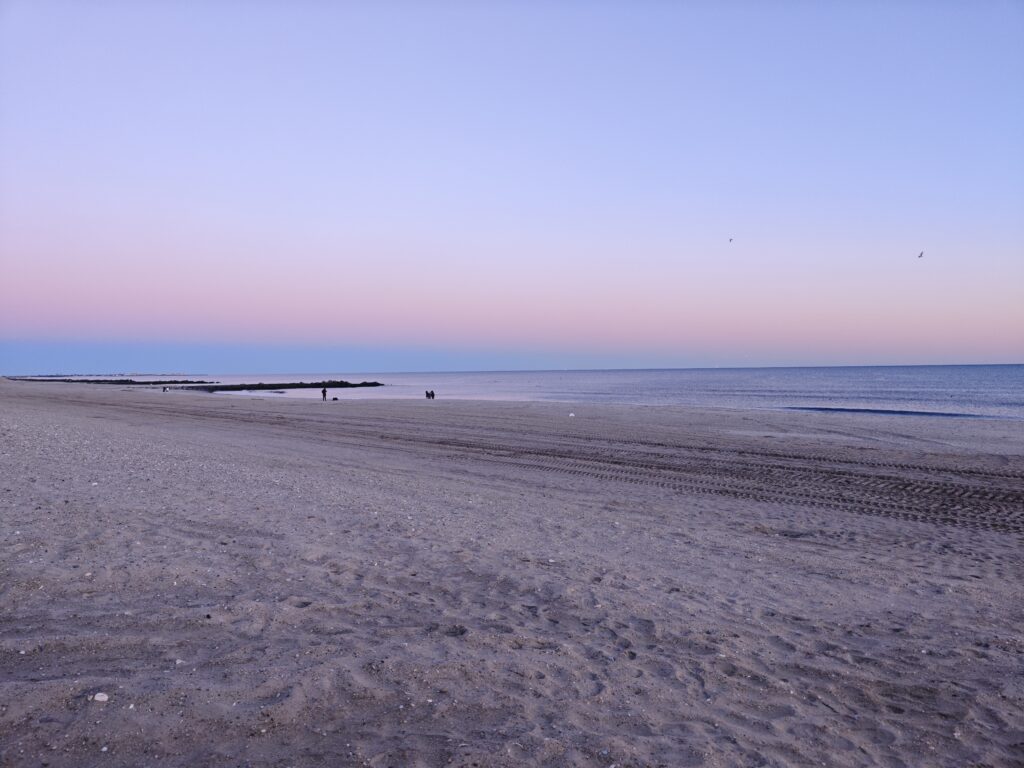 a beach with a body of water in the background (MyCoast AI)