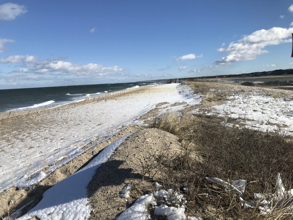 a beach with snow and bushes (MyCoast AI)