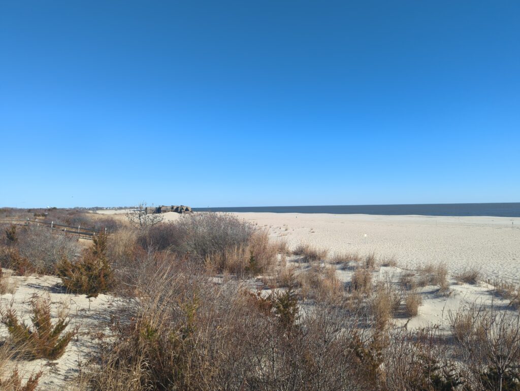 a landscape with dry grass and bushes (MyCoast AI)