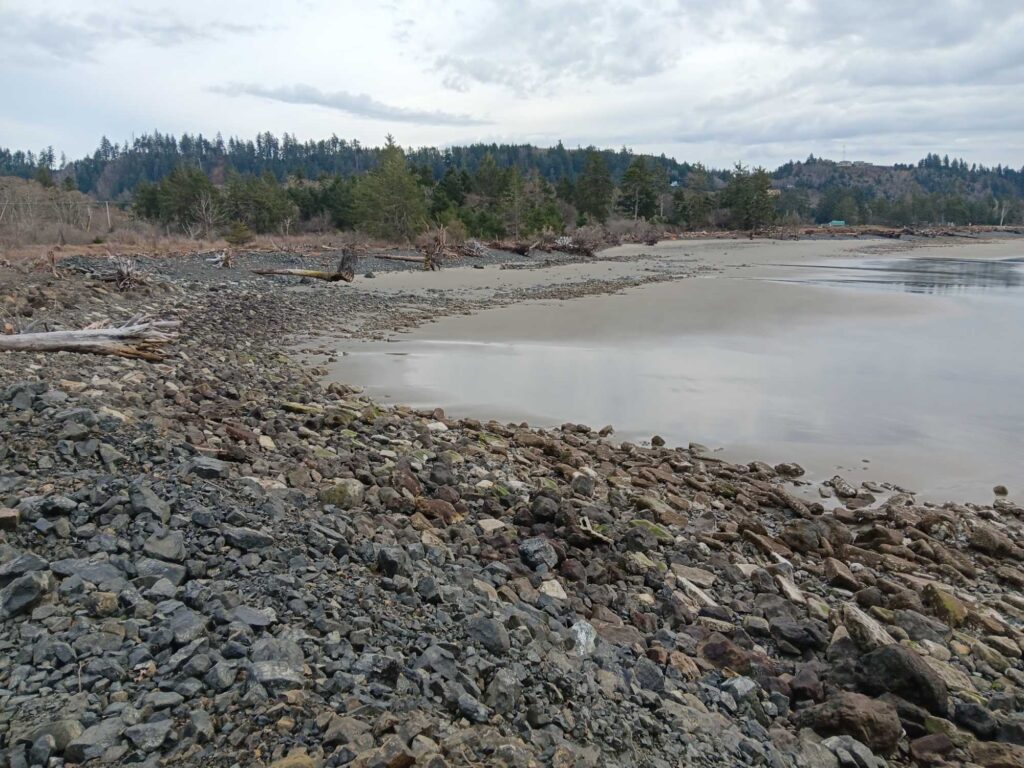 a rocky beach with a body of water and trees in the background (MyCoast AI)