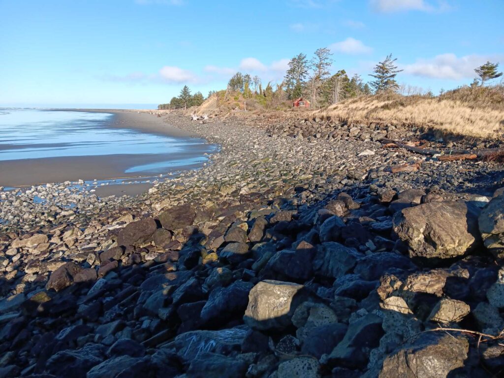 a rocky beach with trees and water (MyCoast AI)