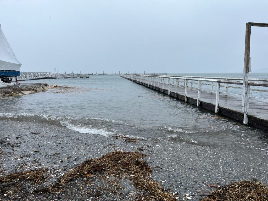 a bridge over a body of water (MyCoast AI)