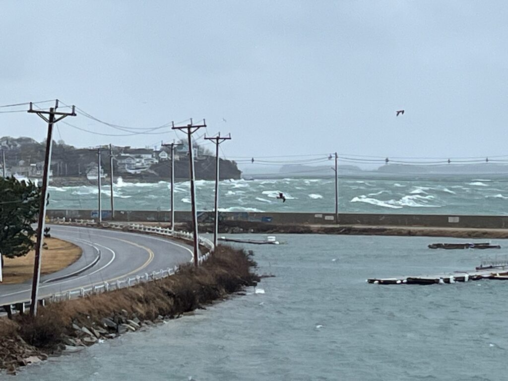 a road next to a body of water (MyCoast AI)