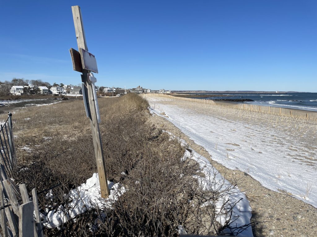 a beach with snow (MyCoast AI)