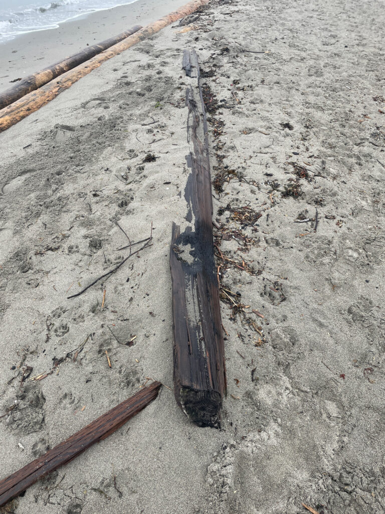 a wooden post on a beach (MyCoast AI)
