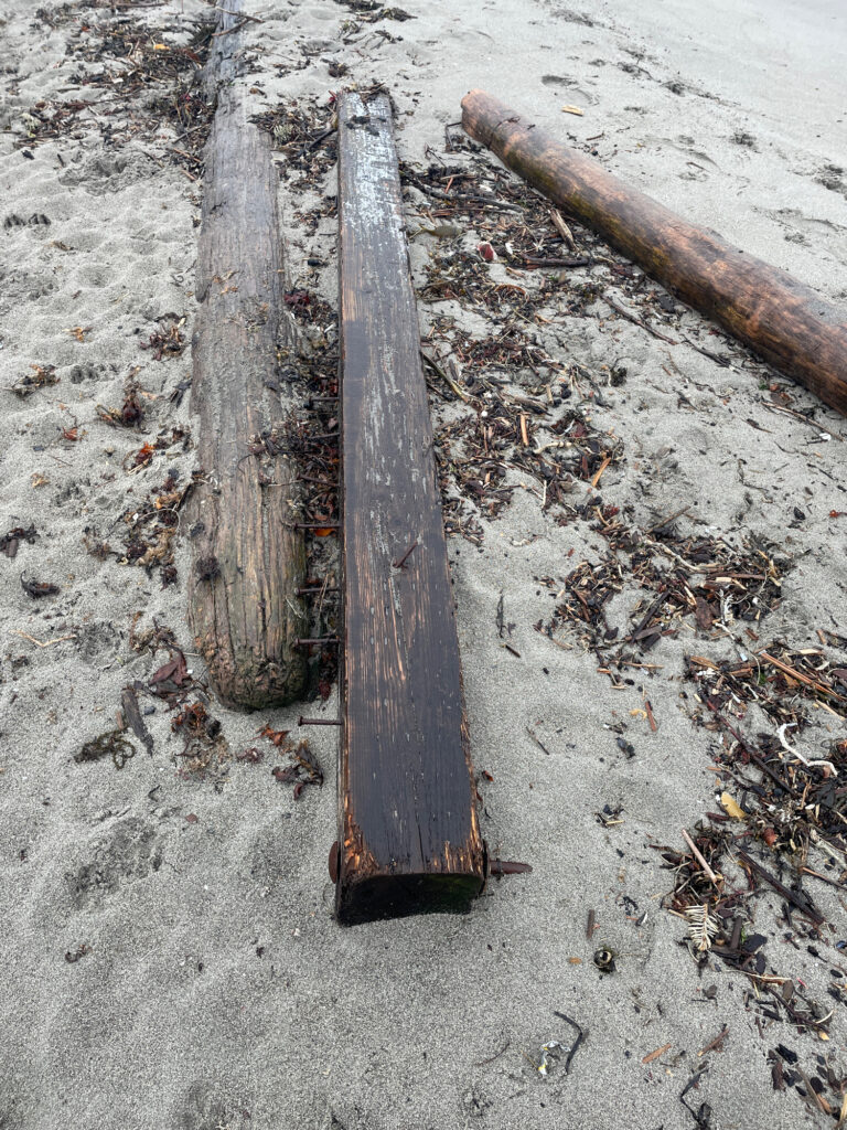 a group of wooden poles (MyCoast AI)
