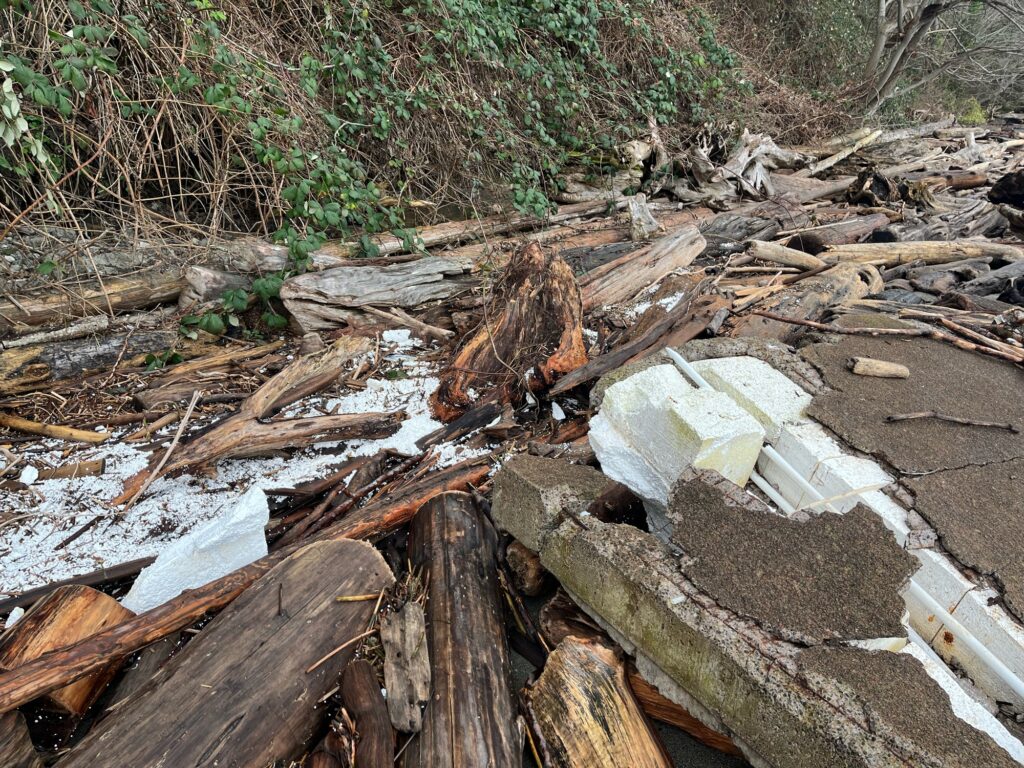 a pile of wood and debris (MyCoast AI)