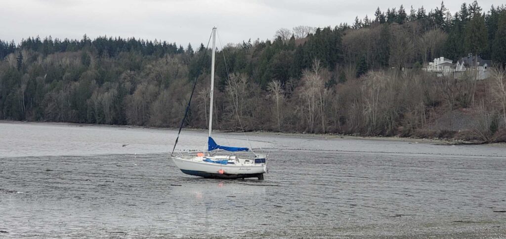 a boat sailing on the water (MyCoast AI)