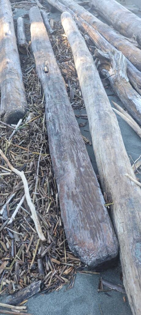 a group of logs (MyCoast AI)