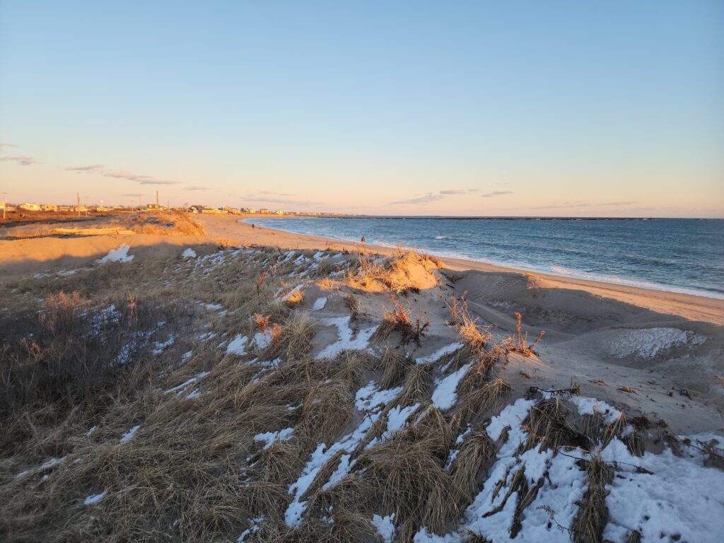 a snowy beach with a body of water in the background (MyCoast AI)