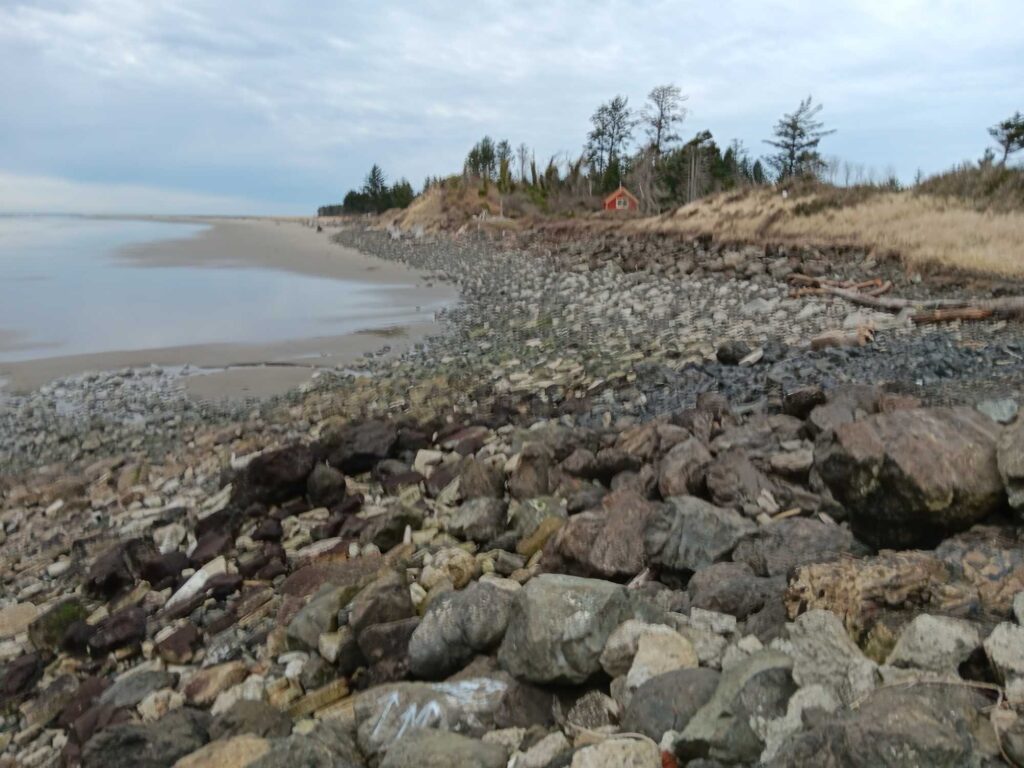 a rocky beach with trees and a hill in the background (MyCoast AI)