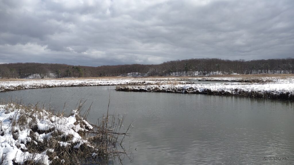 a lake with snow and trees (MyCoast AI)