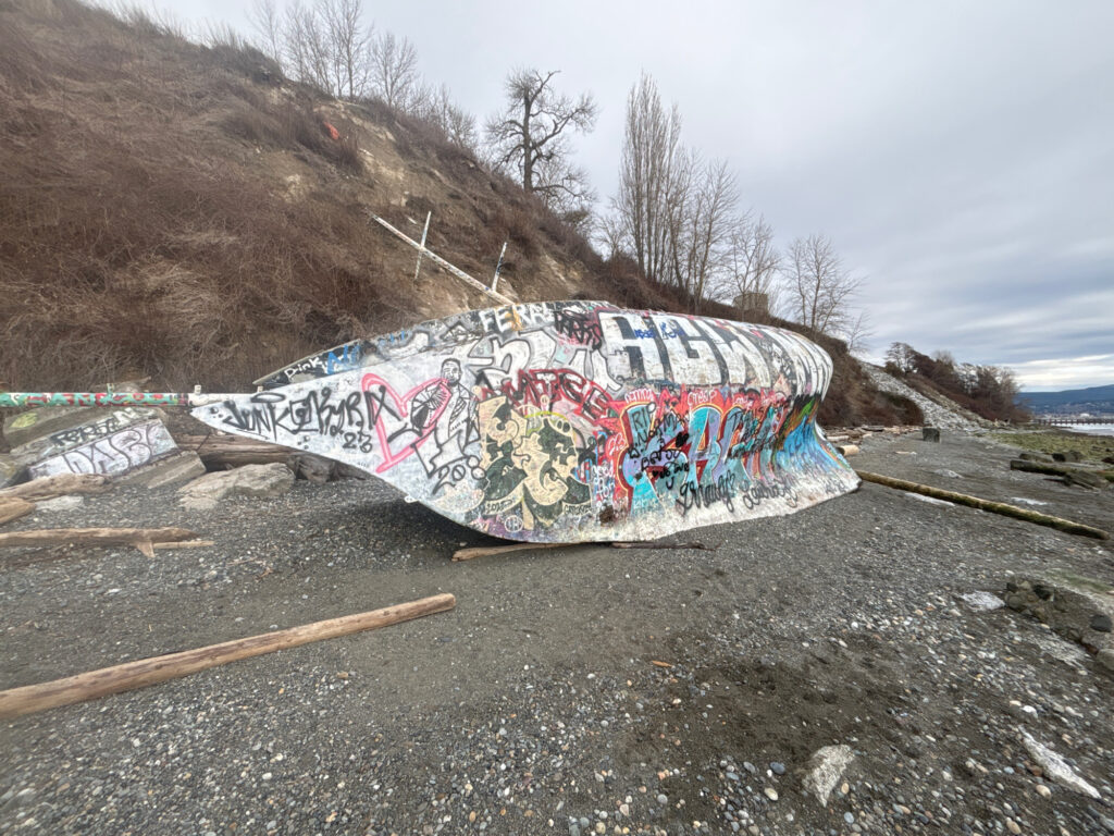 a graffiti covered wall (MyCoast AI)