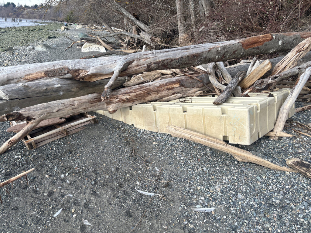 a pile of wood and a white box on the ground (MyCoast AI)
