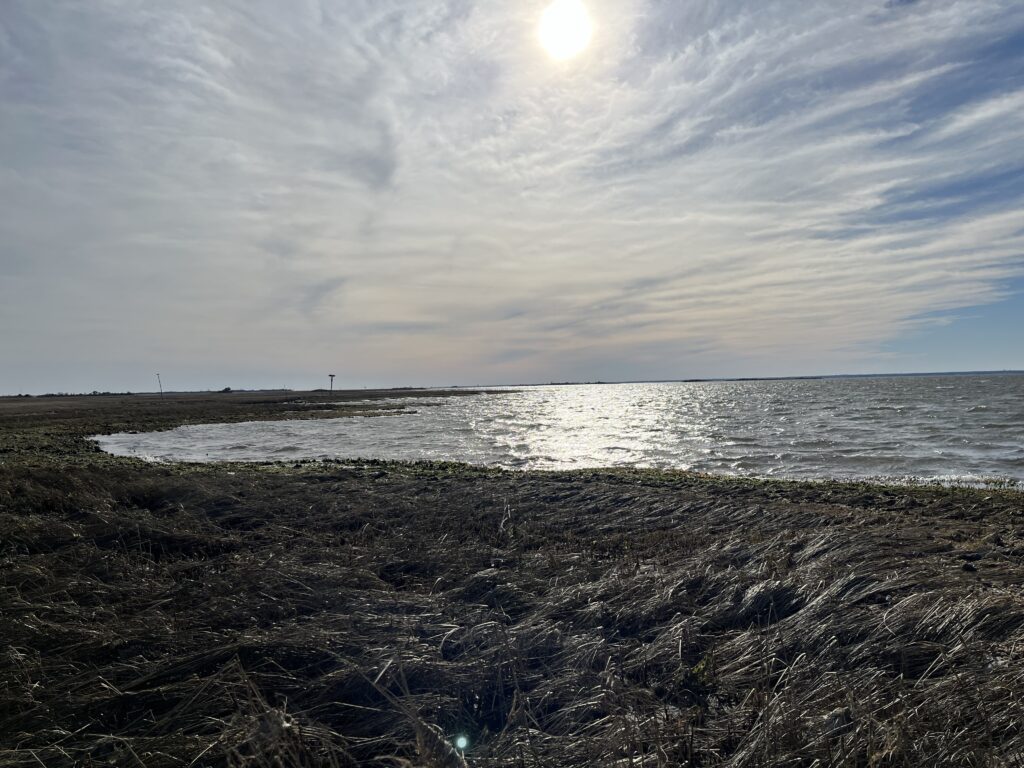 a beach with a body of water (MyCoast AI)
