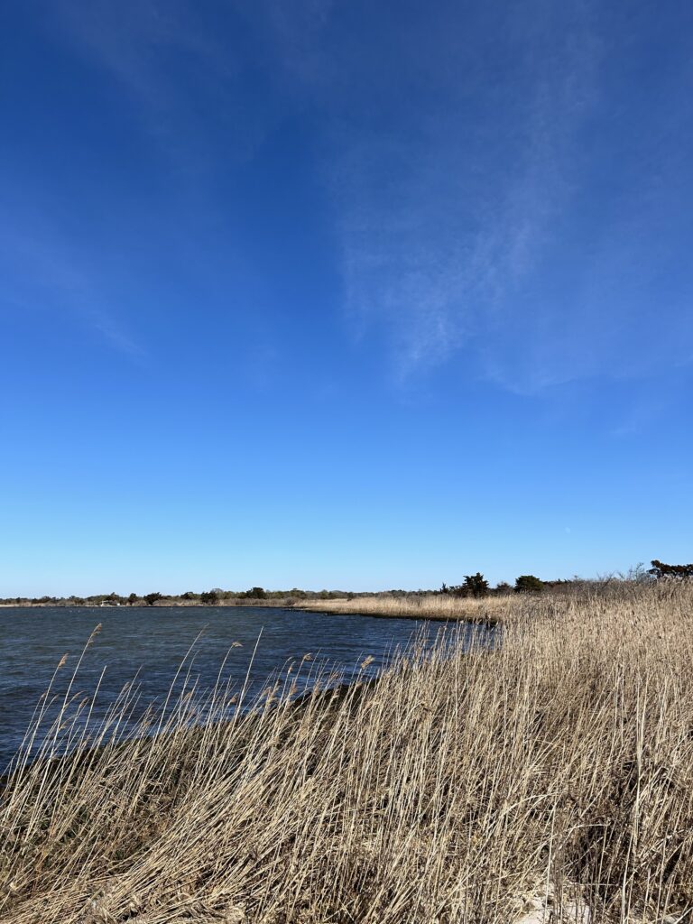a river with a blue sky (MyCoast AI)