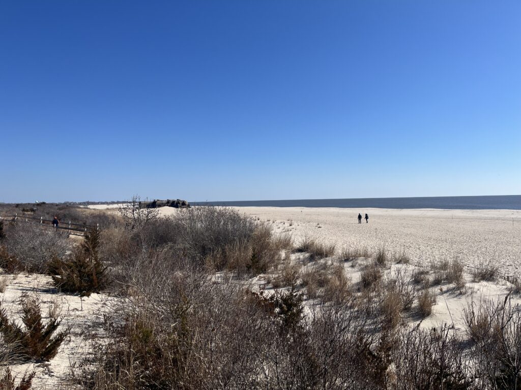 a field of dry grass (MyCoast AI)