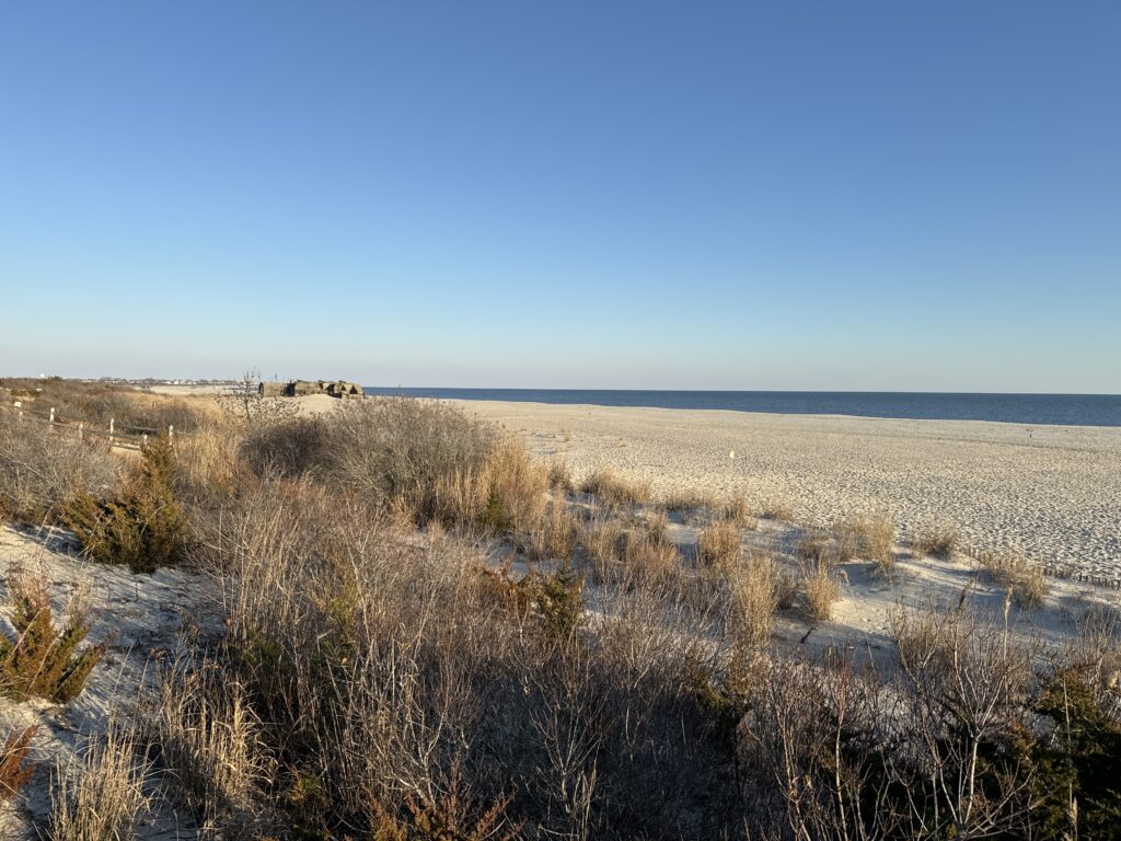 a field of dry grass (MyCoast AI)